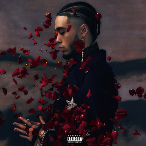 老女人擦她毛老荫户
